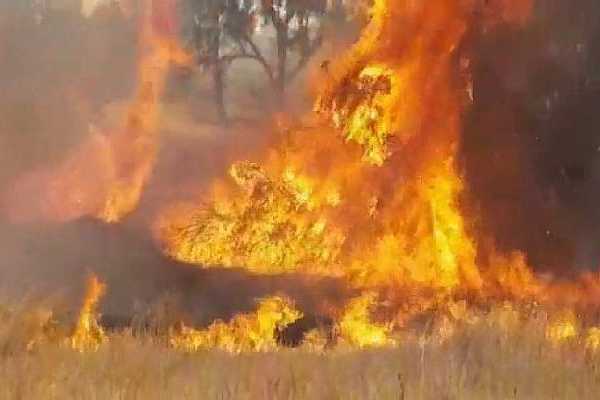 fire-640x400-1_600_400