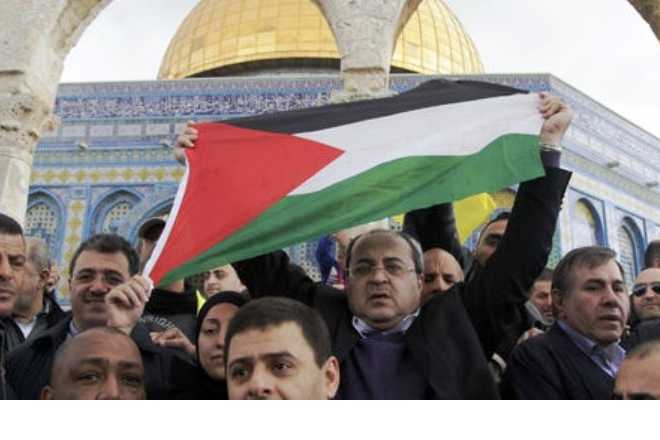 depute-arabe-israelien-ahmed-tibi_660_440