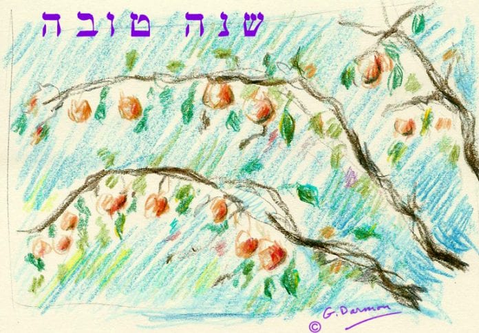 Chana Tova