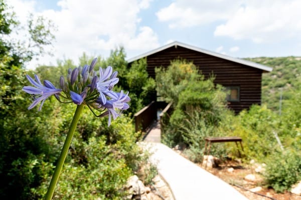 Gîte-en-Samarie