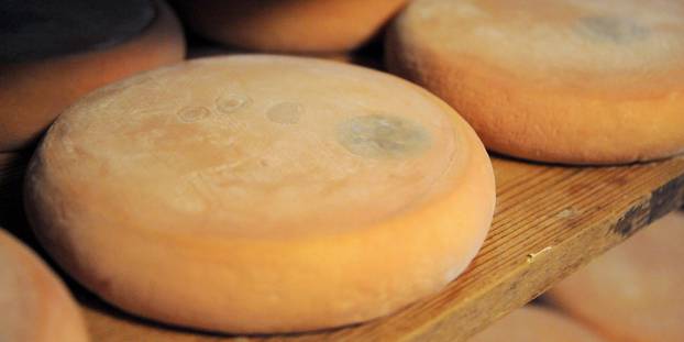 Salmonelle-retrait-de-reblochons-14-personnes-touchees