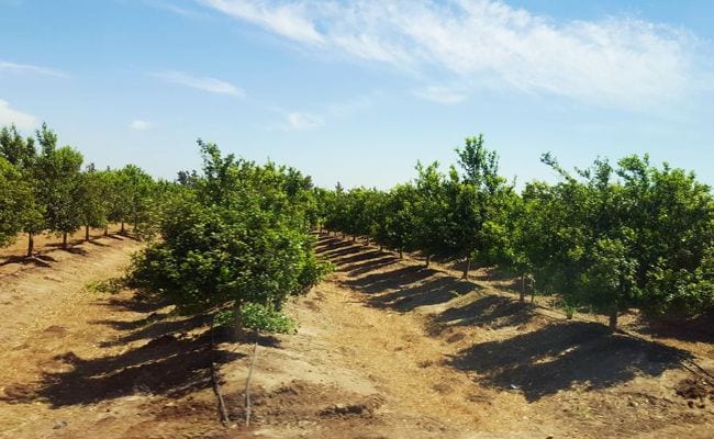 agritech-israel-fleitour