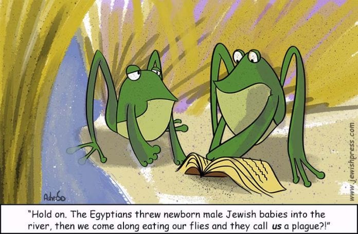 frogs-Vaera