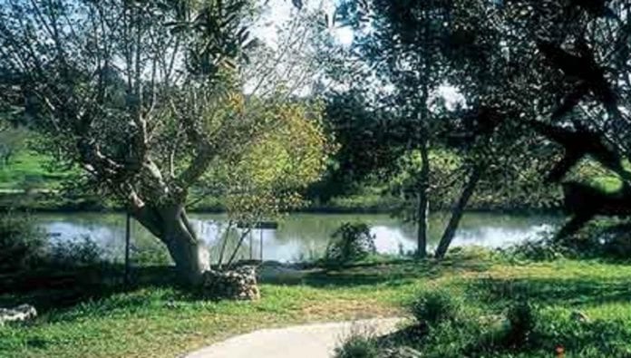 neot-kedumim-1021x580