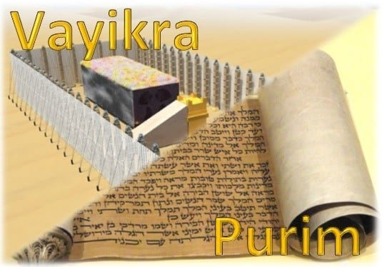 Vayikra-Purim