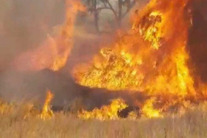 fire_1052_701