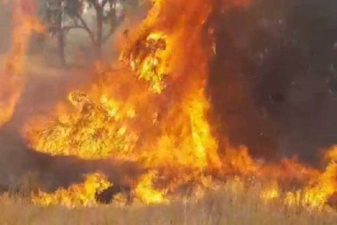 fire_1066_711