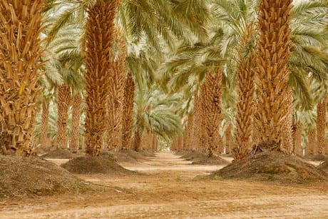 AgriFood2