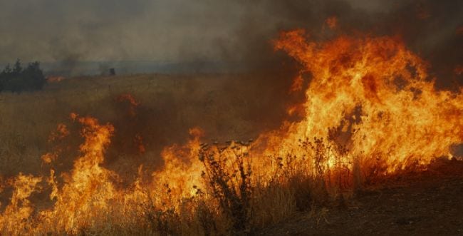 Incendie-terroriste-dans-le-nord-Hamed-Almaq