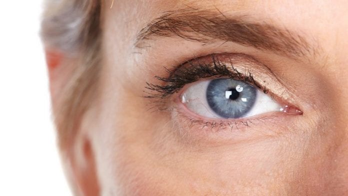 Beautiful woman eye close-up. Isolated white background.
