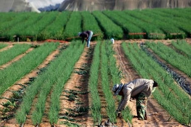 agri