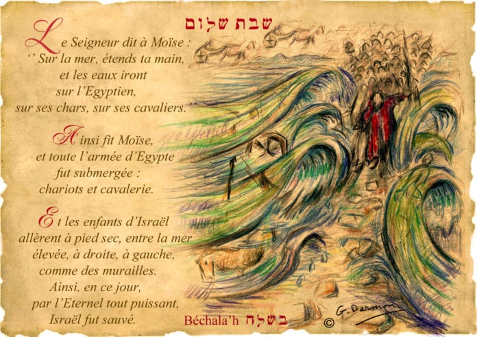 16 Bechalah b