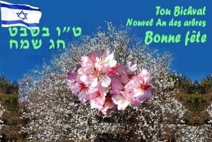 Tou-bichvat-sameah1