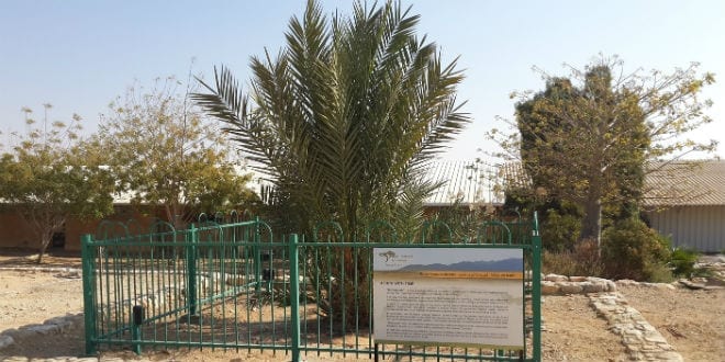 methusalah
