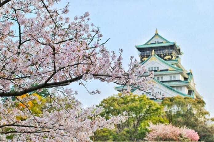 guide-gay-osaka-800x533