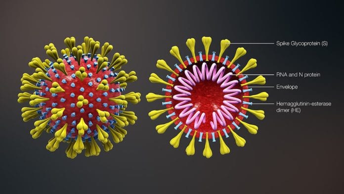 1200px-3D_medical_animation_corona_virus