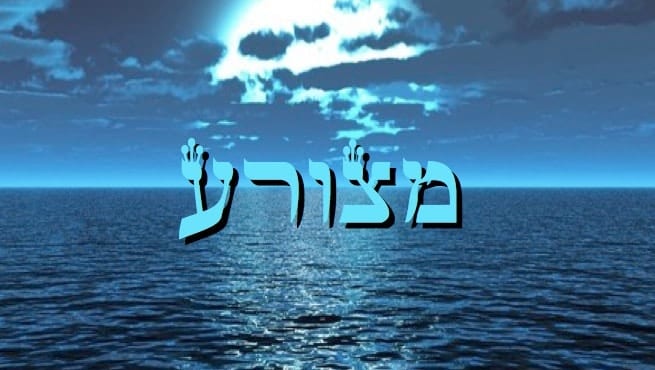 metsora