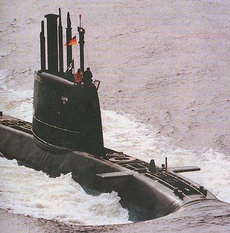 dolphin5