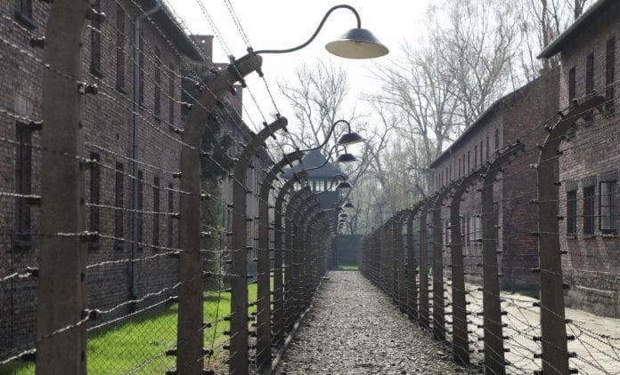 auschwitz-remi-tell-1200x728