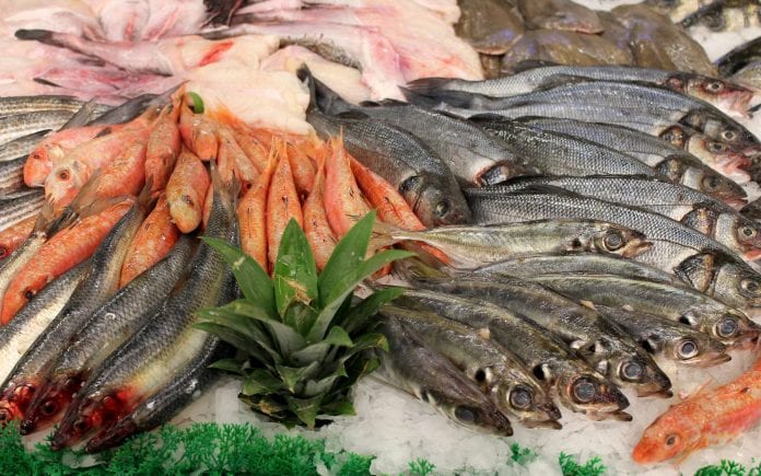 6173946a34_50145209_poissonnier-gribouilleeva-fotolia