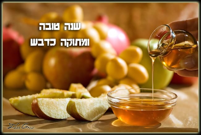 chana-tova