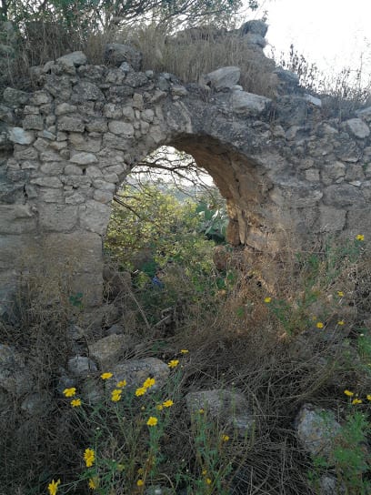 usha-ruines