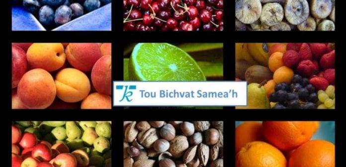 tou-bichvat-hakeshet