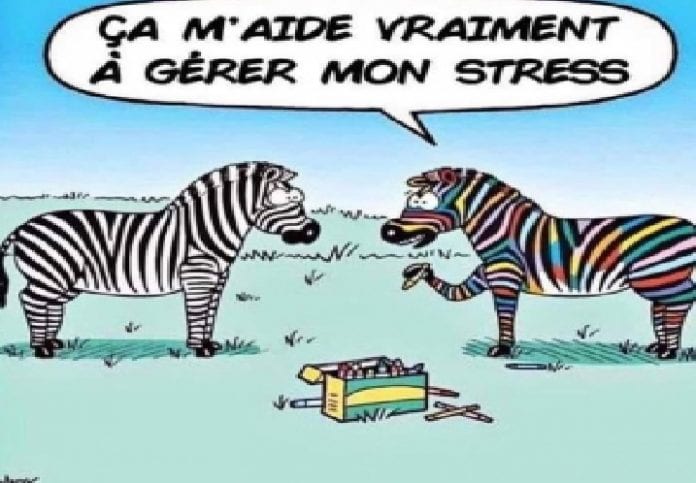 Sans titre