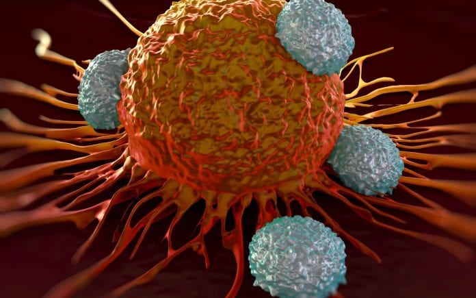 9a8cba0222_50167104_immunothe-rapie-anti-cancer