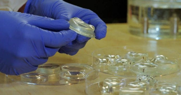 Les-lentilles-en-polymere-liquide-vont-revolutionner-les-lunettes-les
