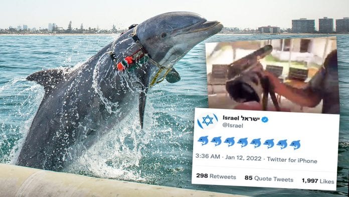 Israel-Dolphin-Frog-Man-Marine-Mamal-Hamas