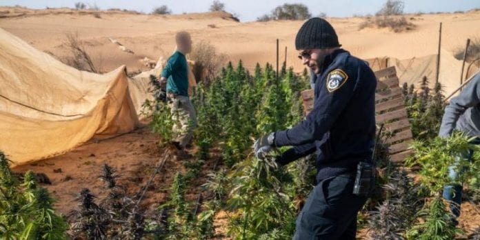 Operation-anti-droqgue-dans-le-Neguev-PP-Tsahal