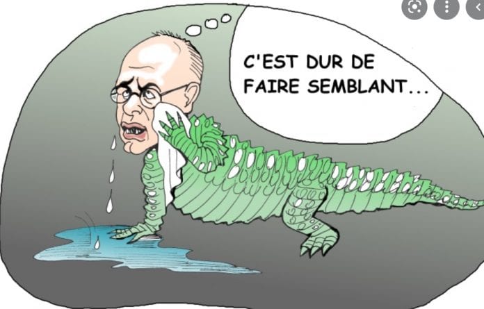2022-02-06 14_24_36-larmes de crocodile – Recherche Google