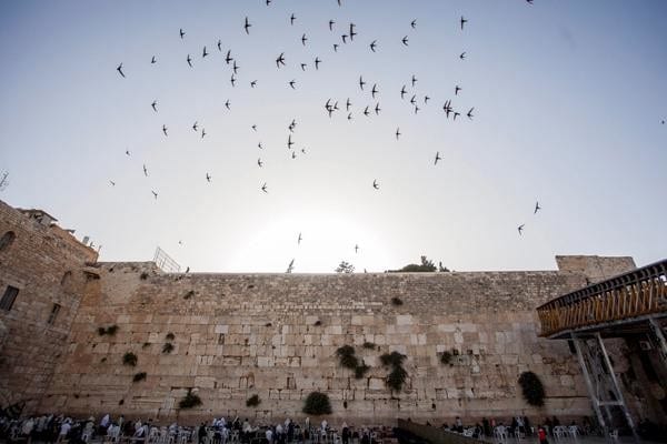 Israël