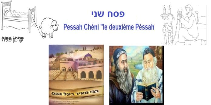עעעעעע