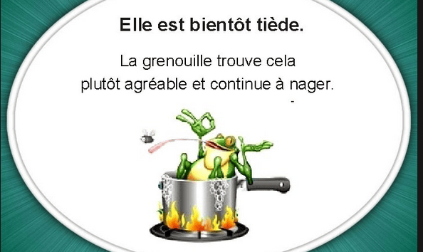 Capture d’écran 2022-07-18 155015