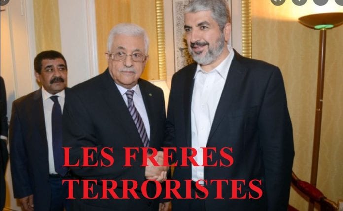 2022-10-04 14_19_47-hamas gaza Gauche – Recherche Google