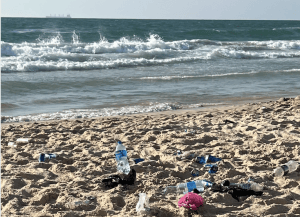 plage-300x217