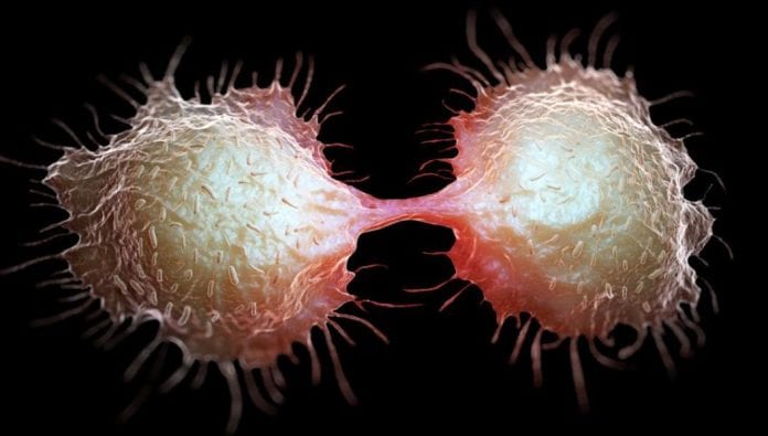 2022-12-29 19_31_23-Cancer – Recherche Google