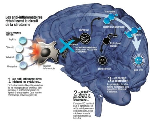 depression-schizophrenie-solution-etait-aspirine-1-510x410