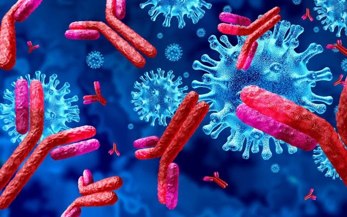 Antibody Immunoglobulin