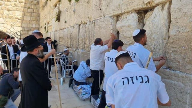 image (5)