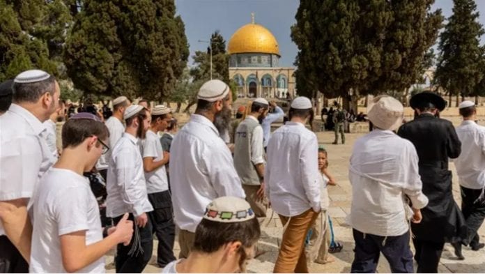 Israel_News_ערוץ_7