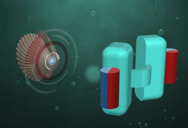 microrobotpetoncle