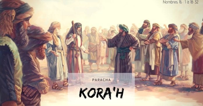 Paracha-Korah-2