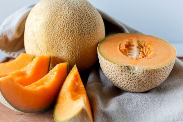 1314195-des-melons-illustration