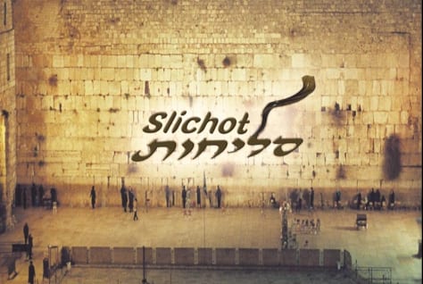 LOGO-SELIHOTS