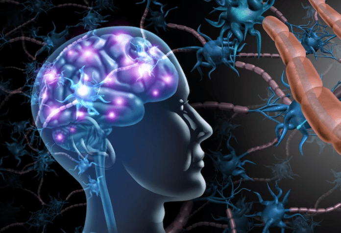 JForum Alzheimer