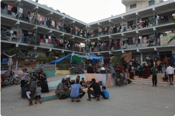 Gaza habitants