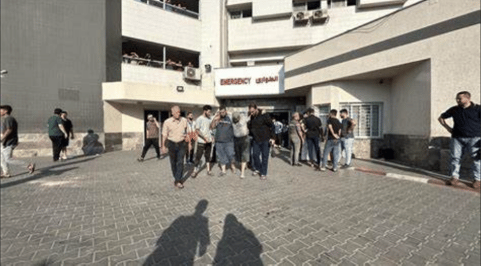 GAZA 6